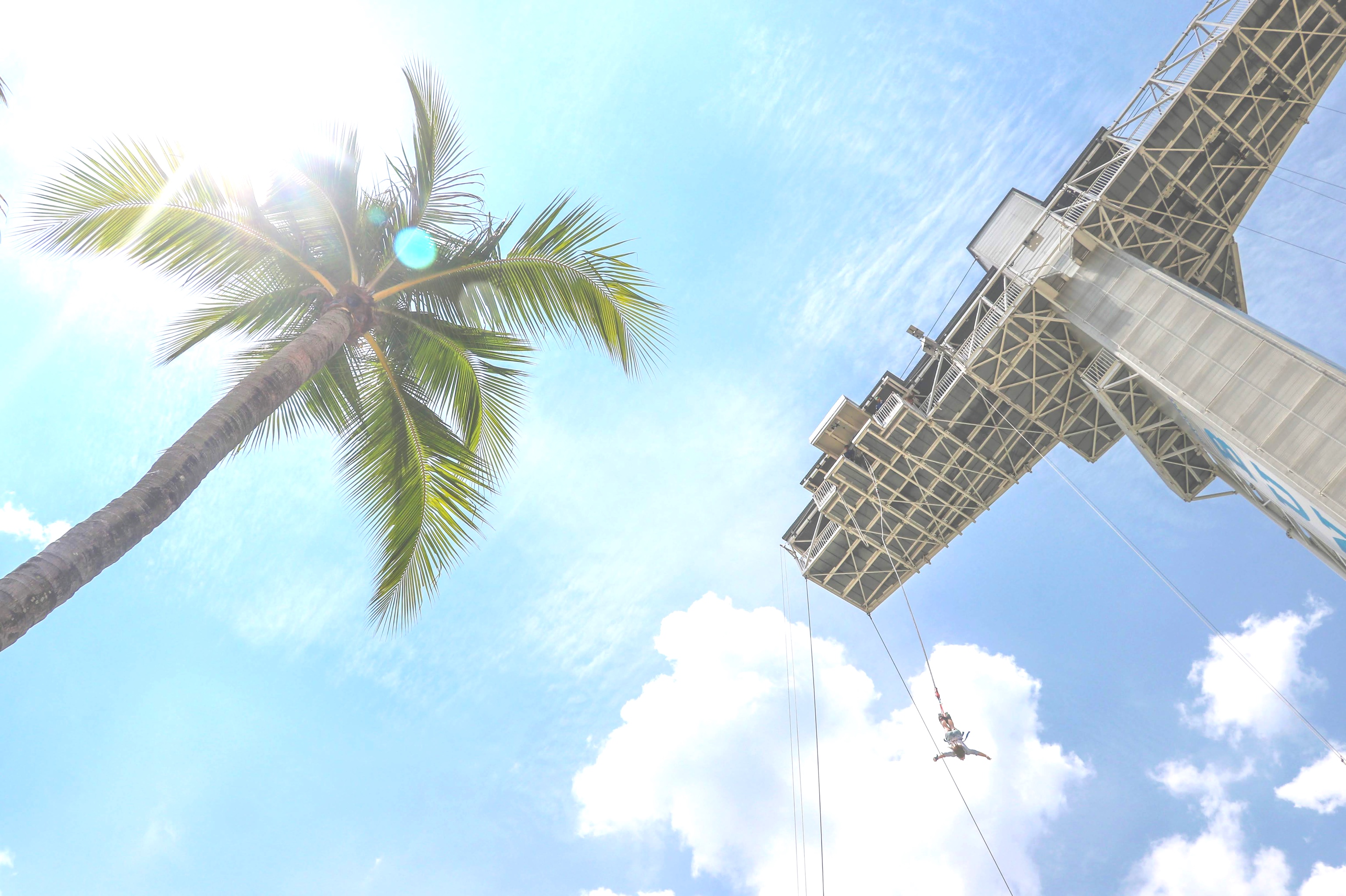 Don'T Miss Out: $49 Bungy Jump/Giant Swing At Just Wingit Mega! - rj5xhlq